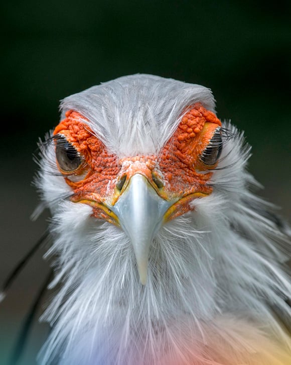 DTAD - unser Sekretär